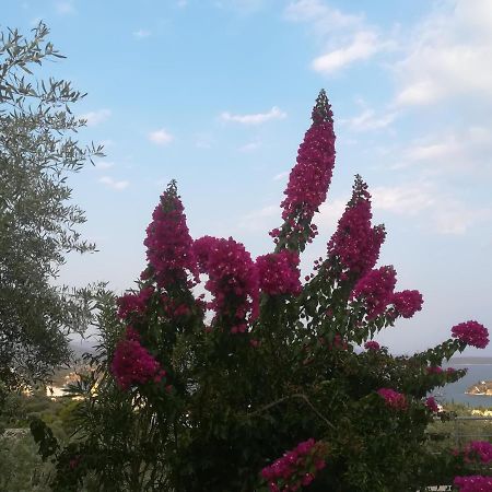 Πέτρα, Ελιά Και Λεβάντα Villa Tolón Buitenkant foto