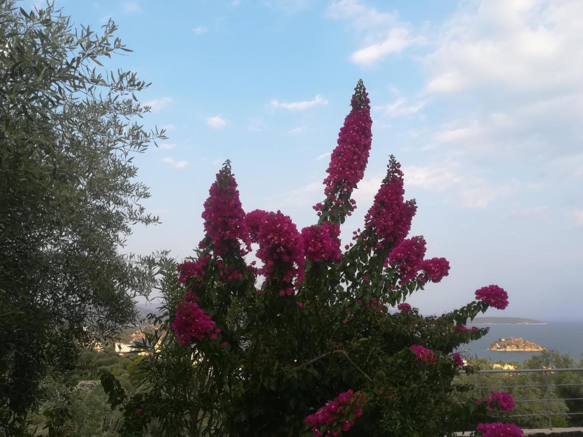 Πέτρα, Ελιά Και Λεβάντα Villa Tolón Buitenkant foto