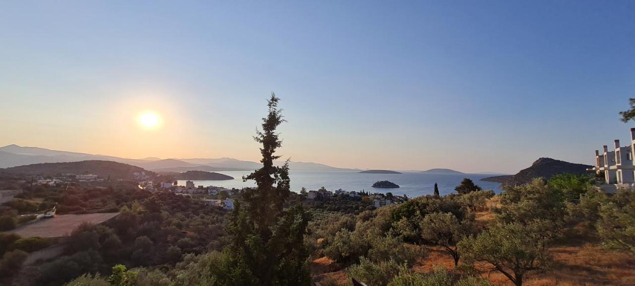 Πέτρα, Ελιά Και Λεβάντα Villa Tolón Buitenkant foto