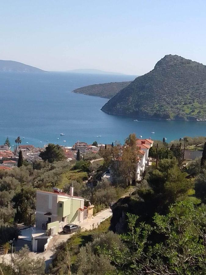 Πέτρα, Ελιά Και Λεβάντα Villa Tolón Buitenkant foto