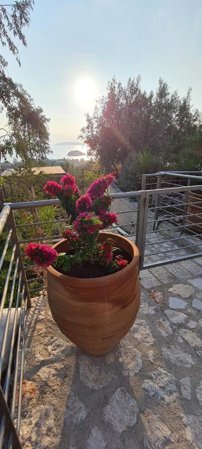 Πέτρα, Ελιά Και Λεβάντα Villa Tolón Buitenkant foto