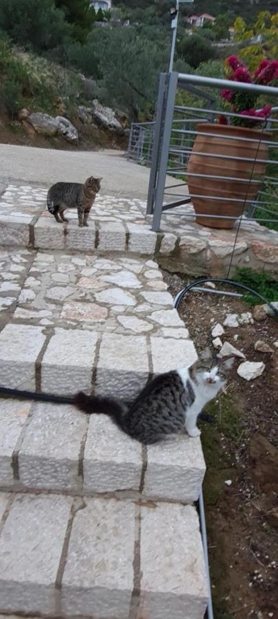 Πέτρα, Ελιά Και Λεβάντα Villa Tolón Buitenkant foto