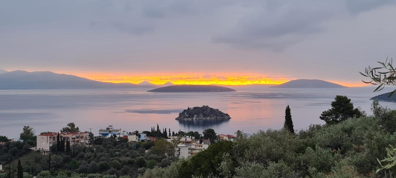 Πέτρα, Ελιά Και Λεβάντα Villa Tolón Buitenkant foto