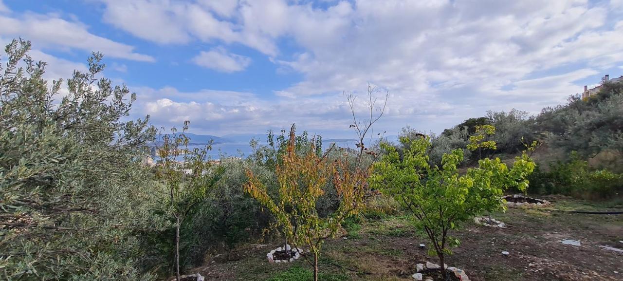 Πέτρα, Ελιά Και Λεβάντα Villa Tolón Buitenkant foto